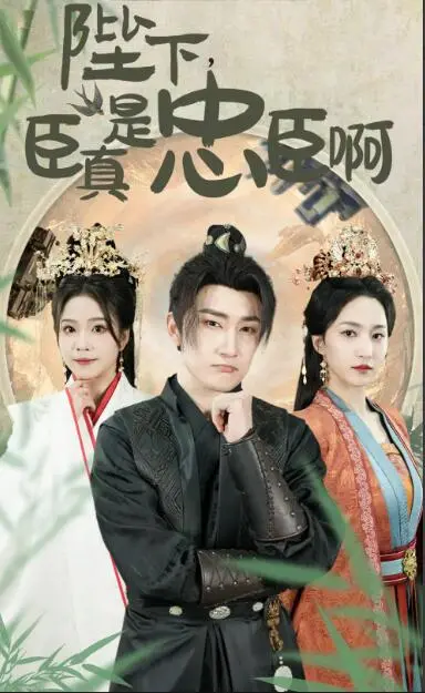 《陛下，臣真是忠臣啊》：爆笑反转！看小人物如何玩转朝堂，忠臣之路竟是喜剧？