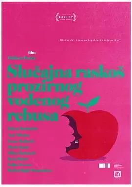 《半透明水谜之忽然奢华》：挑战你的感官极限，一场视觉与心灵的盛宴！