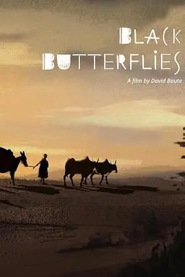 《黑蝴蝶》：一段跨越时空的执着追寻，爱与守候的深刻人性考验